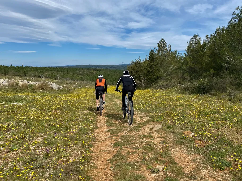 Reco VTT