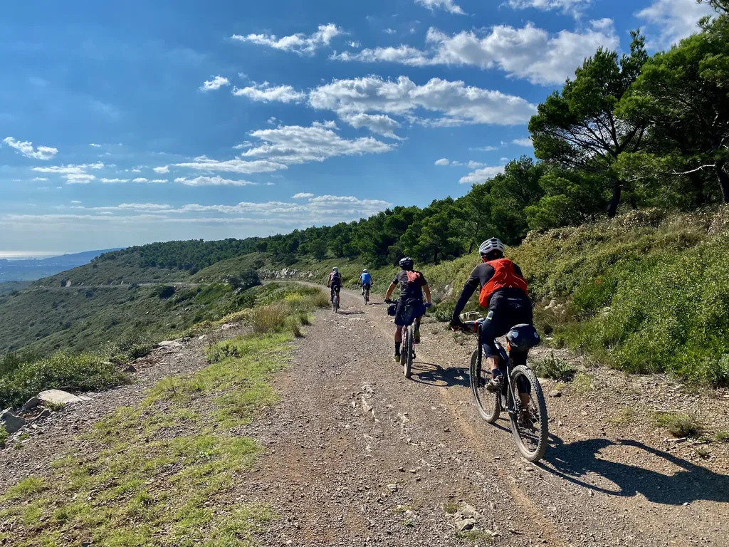 Reco VTT