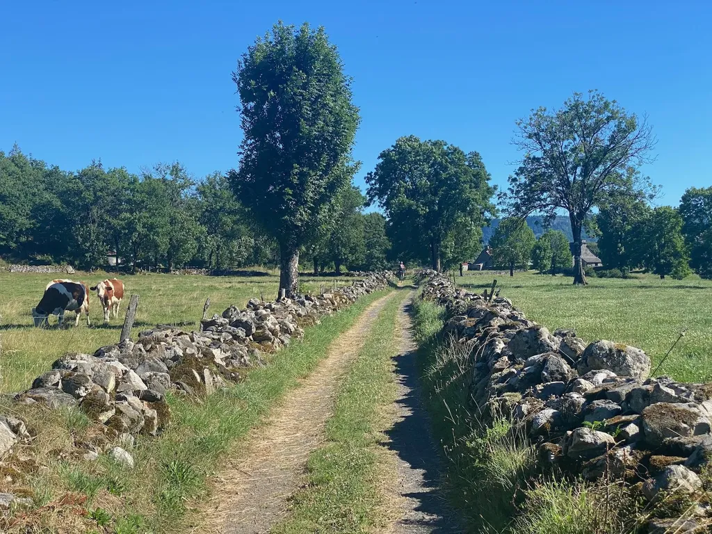De Paris à Sète à VTT