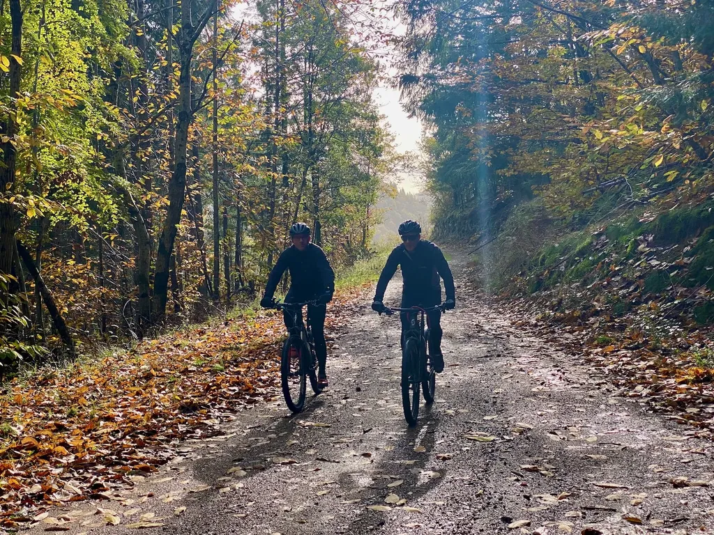 Reco VTT