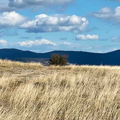 Larzac